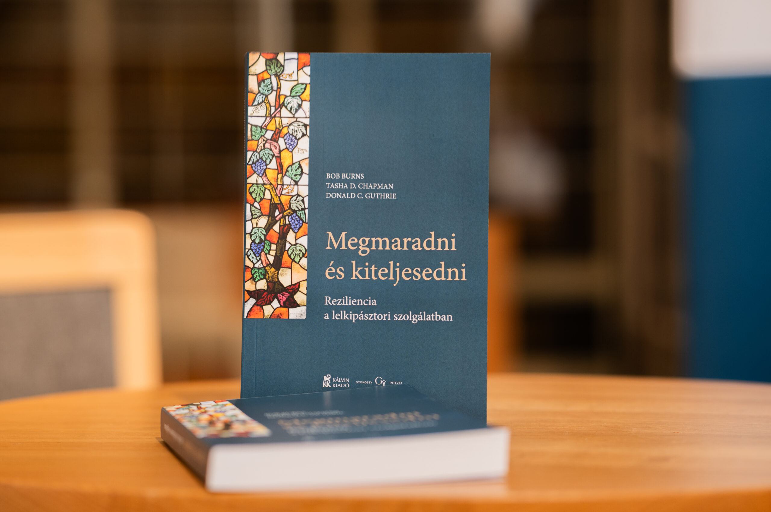 reziliencia_könyvbemutató-01